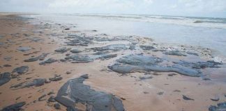 O derramamento de petróleo no Nordeste e seus problemas.