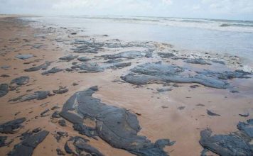 O derramamento de petróleo no Nordeste e seus problemas.