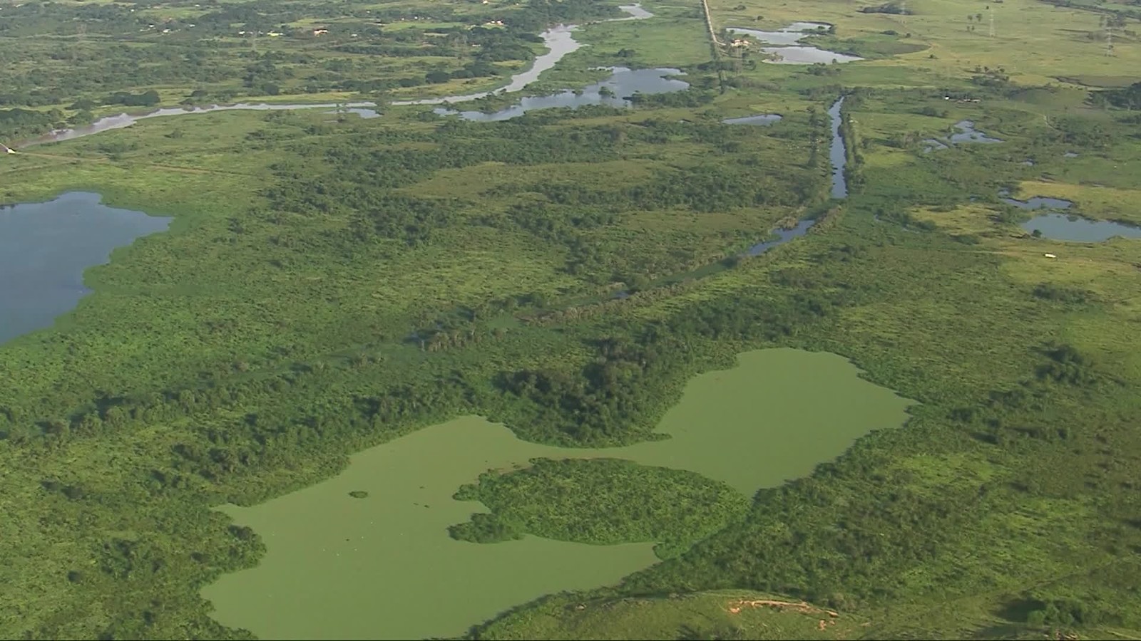 Lago coberto de algas - Guadu