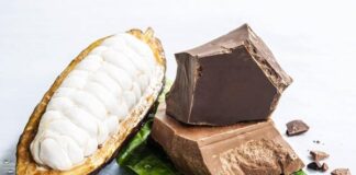 Chocolate 100% cacau inova fabricação após séculos e mira no consumo sustentável