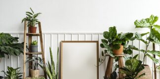 Decoração sustentável